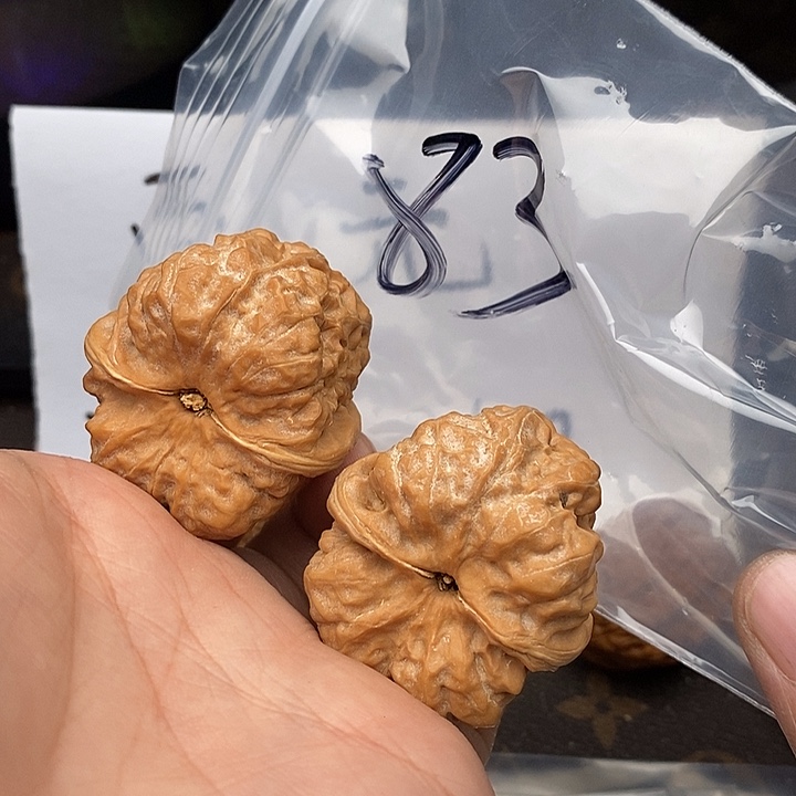 吊坠文玩核桃75357373557753537