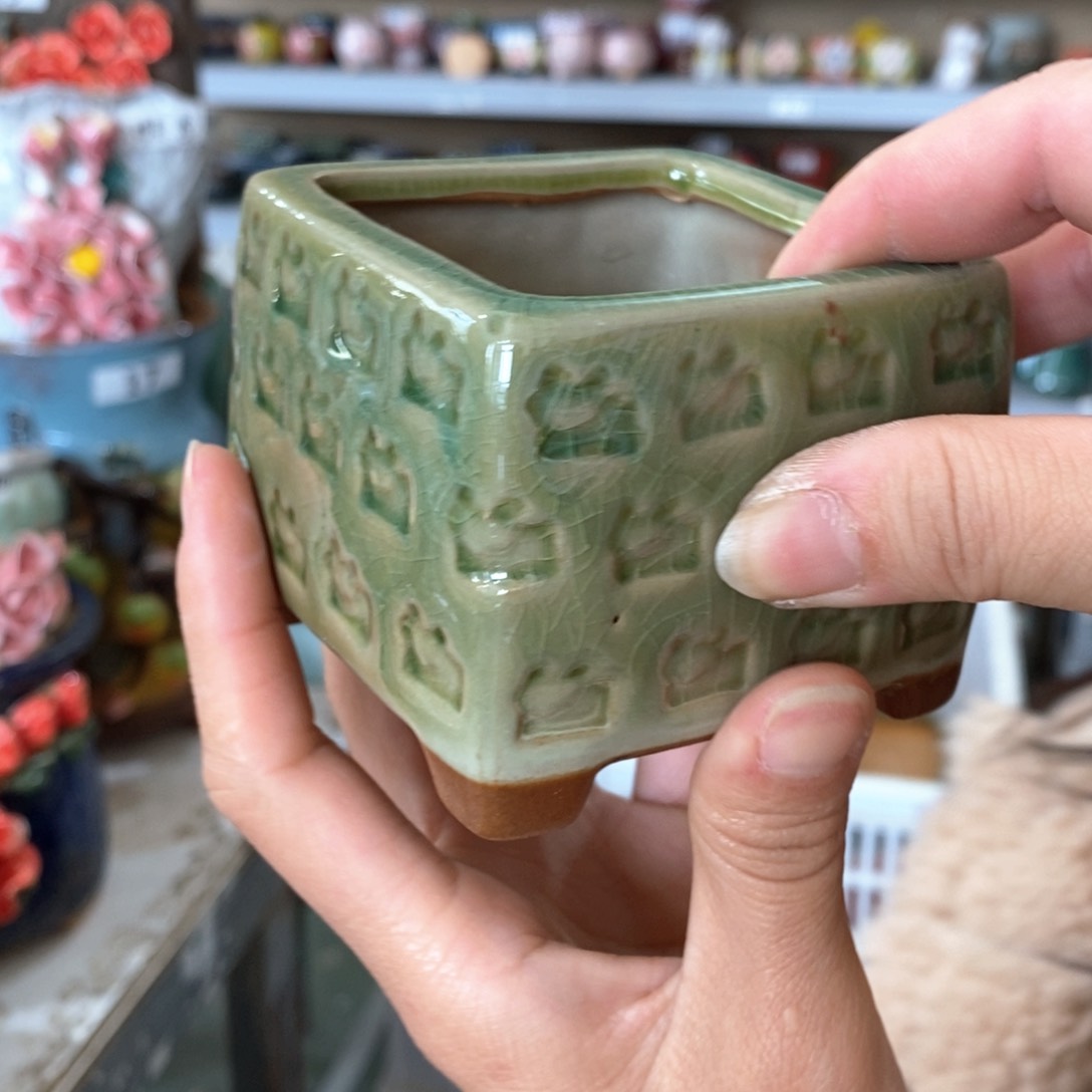 福利福利福利福利