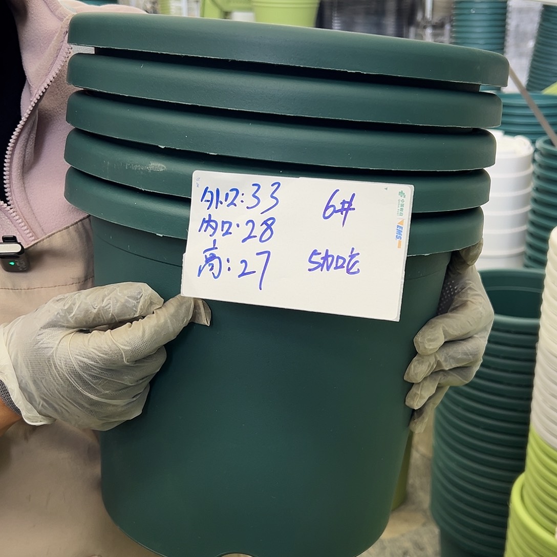 瑕疵四季盆6#墨绿色5个无托