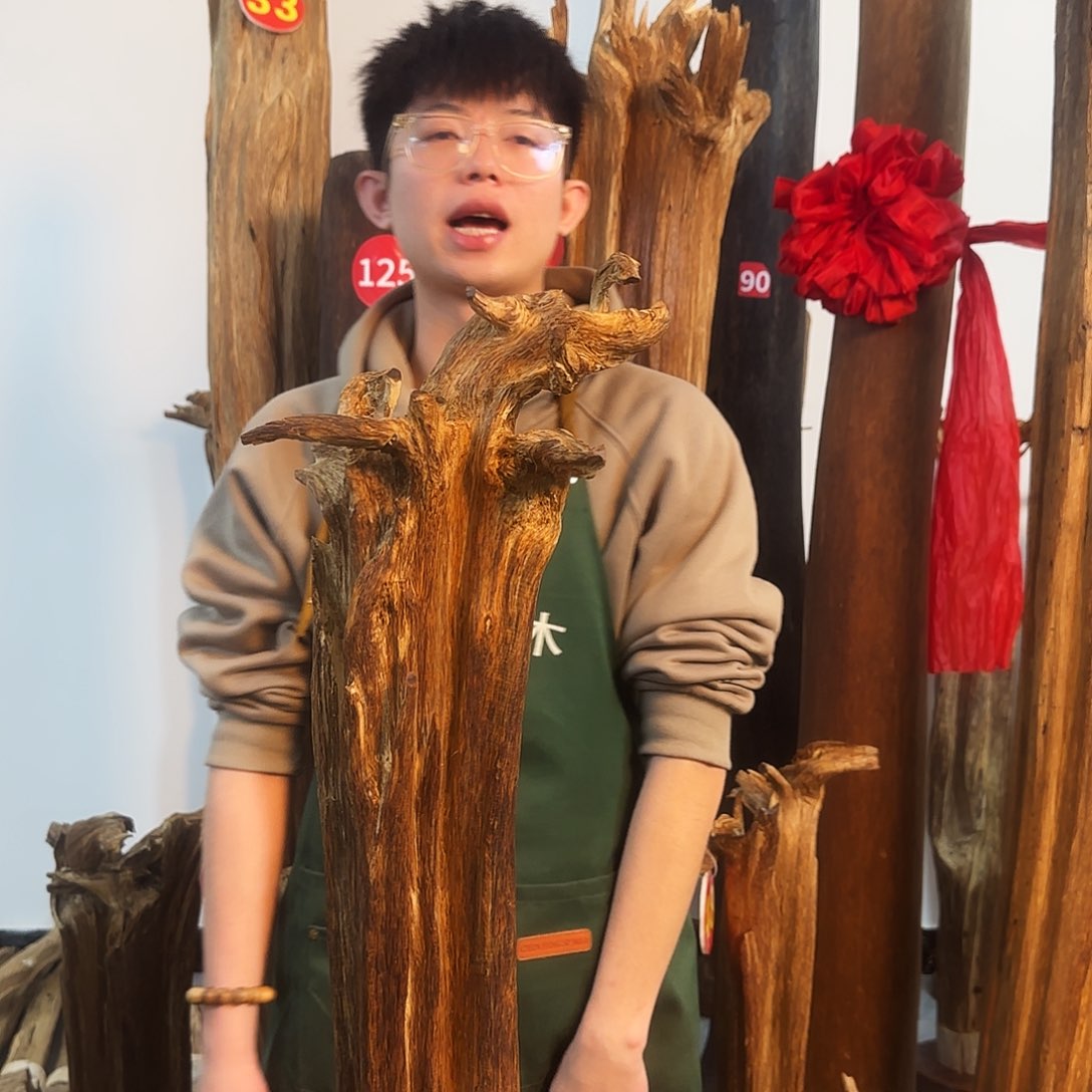 沉香摆件天然沉香原木摆件➕底座