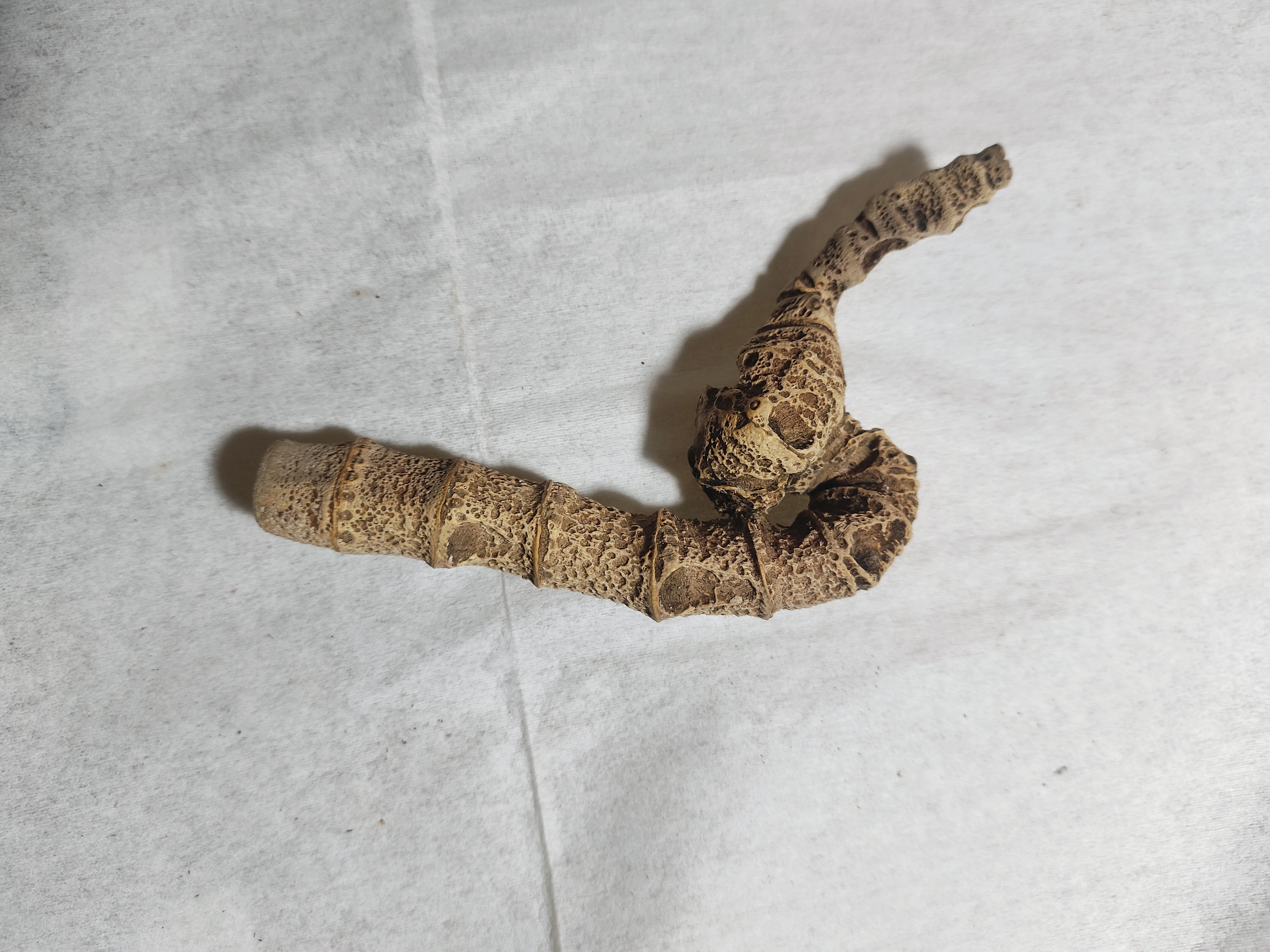 千年老竹鞭老竹筒老竹根老烟杆茶料手把件