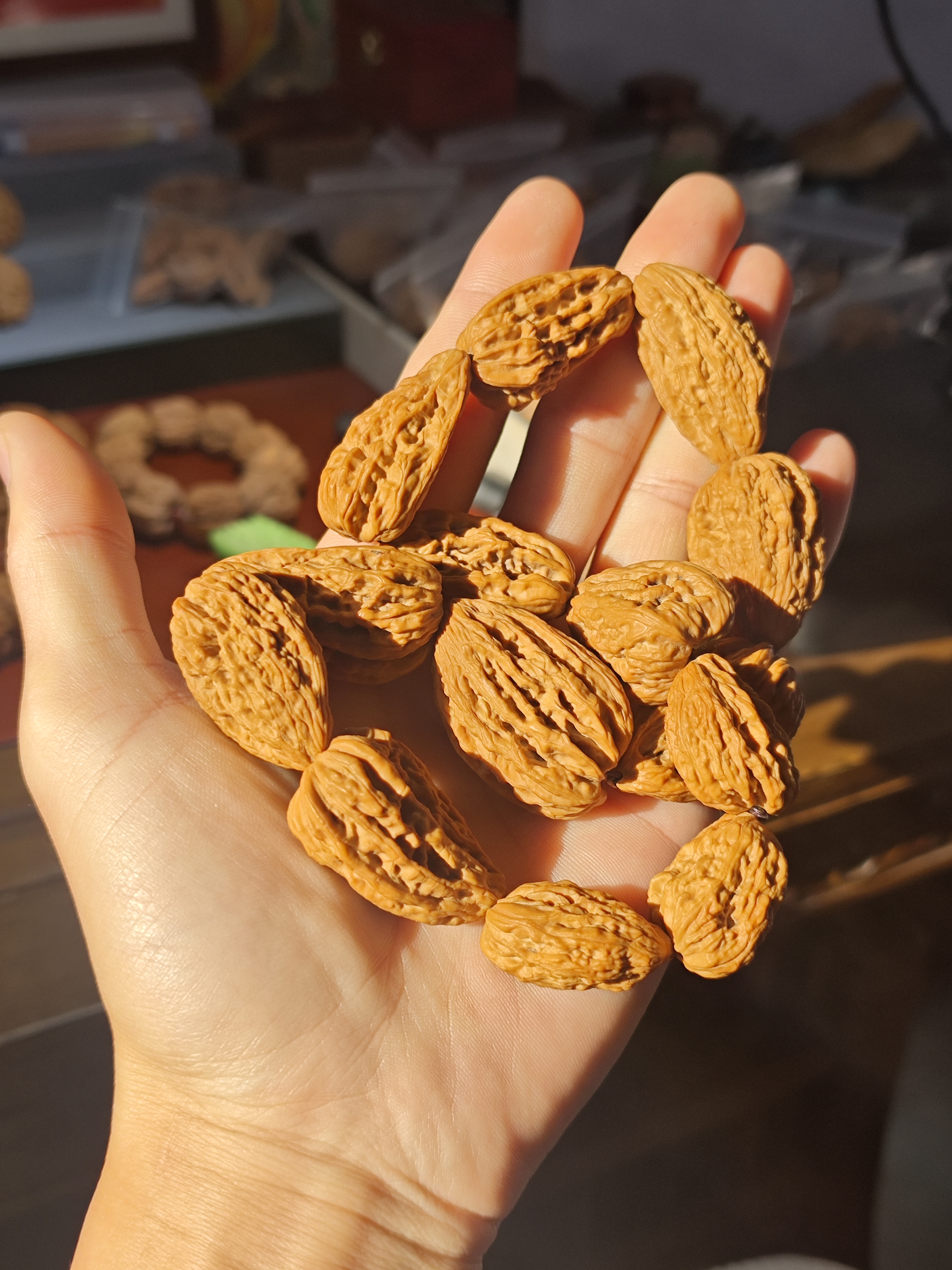 天然山地姜黄南将石瓜子手持