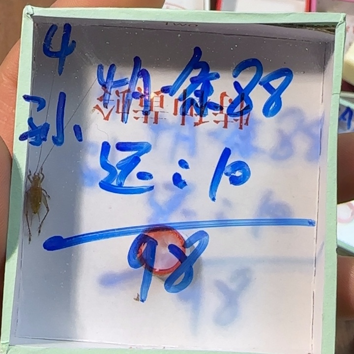酒***孙蟋蟀蝈蝈我在外面吃饭呢