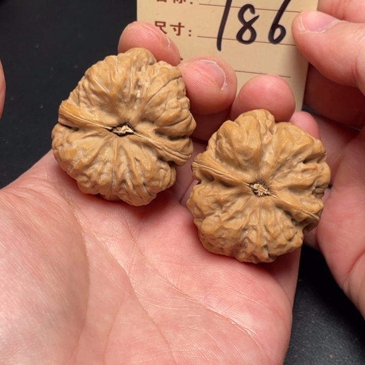 把件文玩核桃三角蛙38尺白茬186