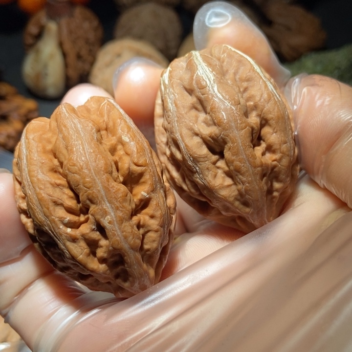 文玩核桃把件东北楸子小雪110