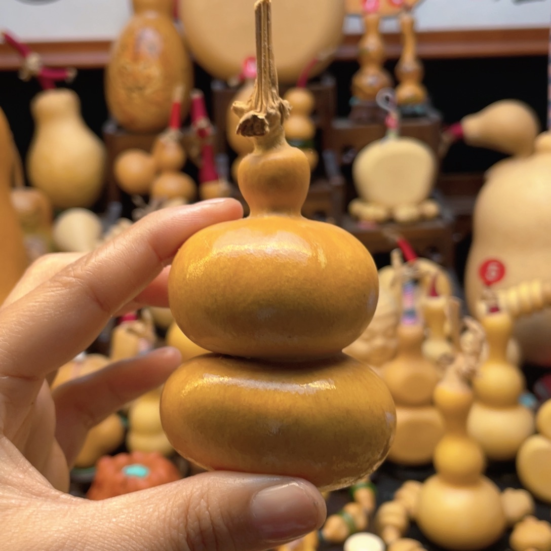 9**6大自然的秘密第十一节课