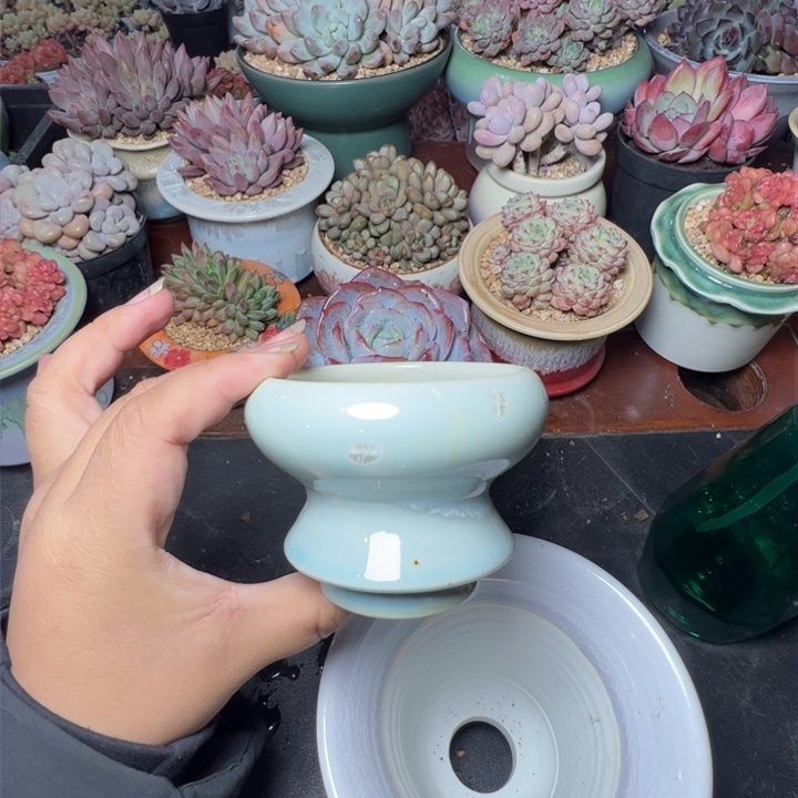 特价花盆随单发货内口6.5