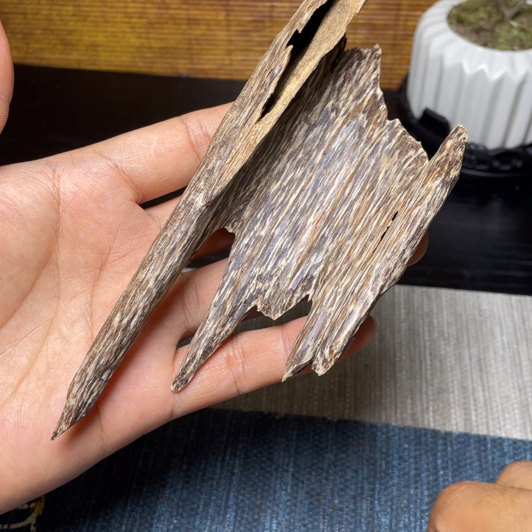 香榧木海南天然木艺品19.6克