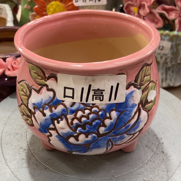 【闪购商品】福利福利福利福利福利