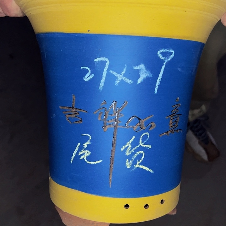 红陶紫砂工艺厂……紫砂工艺厂