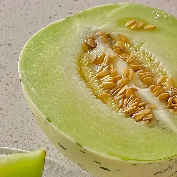 流星月露蜜瓜一个1000g