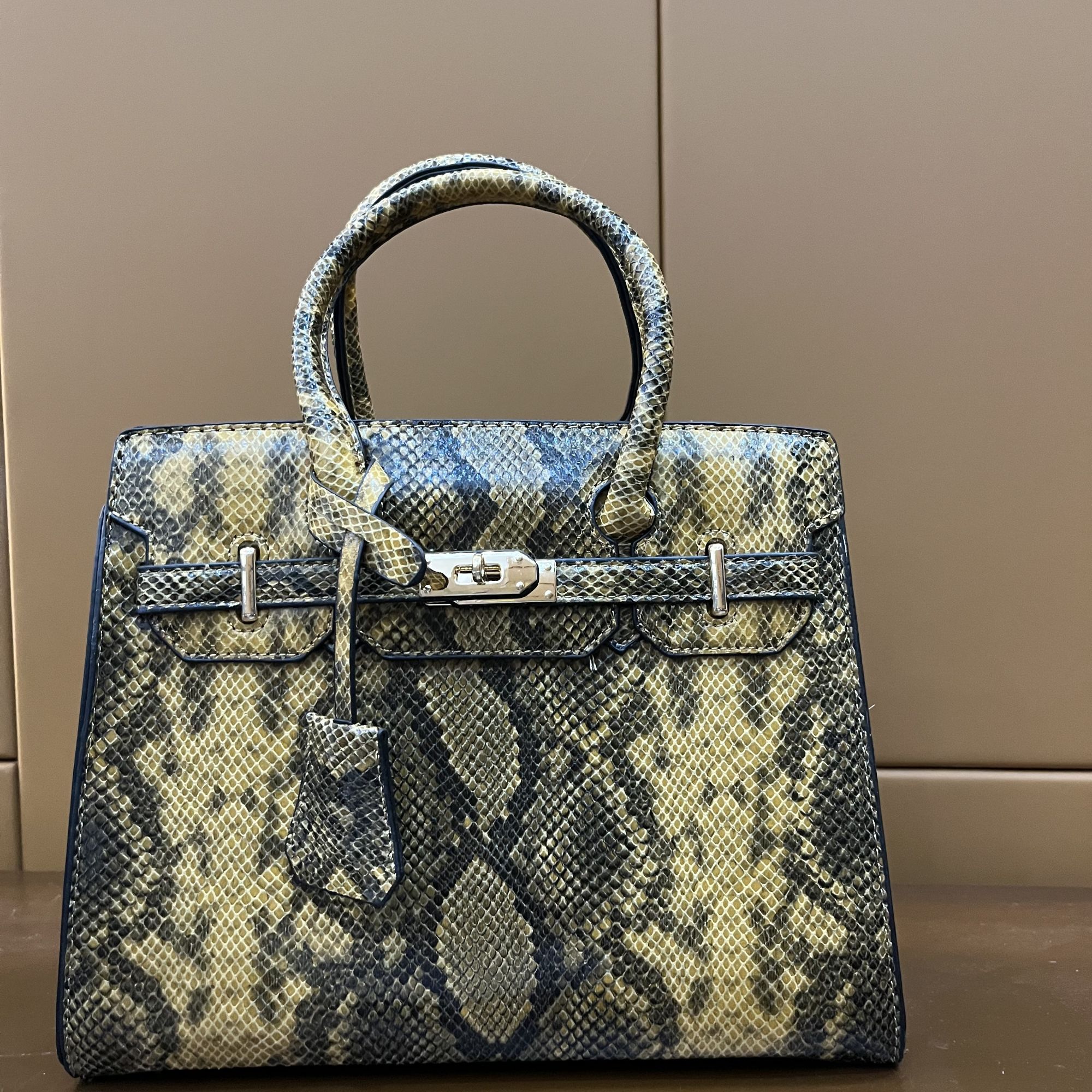 【骄杨专属】2025高级时尚潮流单肩斜跨高档女士包10库存三单拼手速