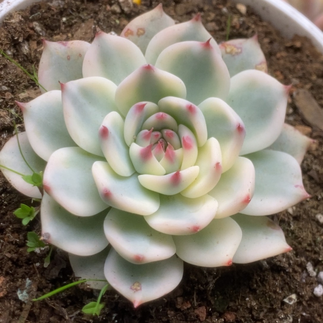 开**天705锦锦锦锦锦锦锦