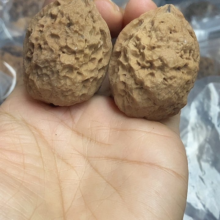 文玩核桃把件云南铁核桃基地99