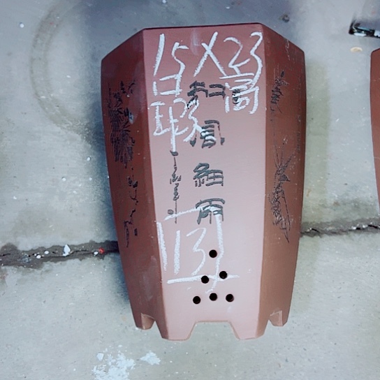 红陶紫砂紫砂z s x