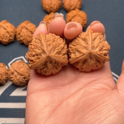 橄榄核手串/手链念*文山三棱