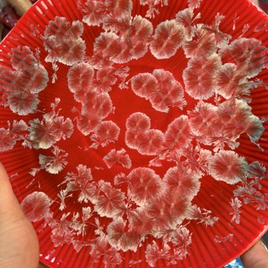 碟本店消费满二十包包邮的