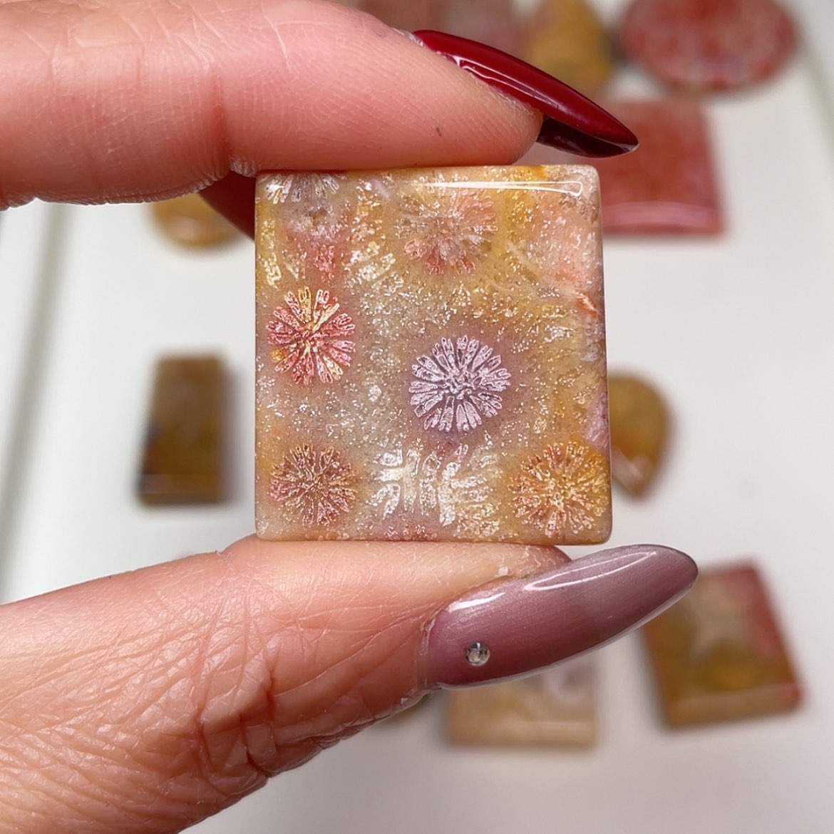 【闪购商品】未镶嵌吊坠(赠链)硅化玉重*