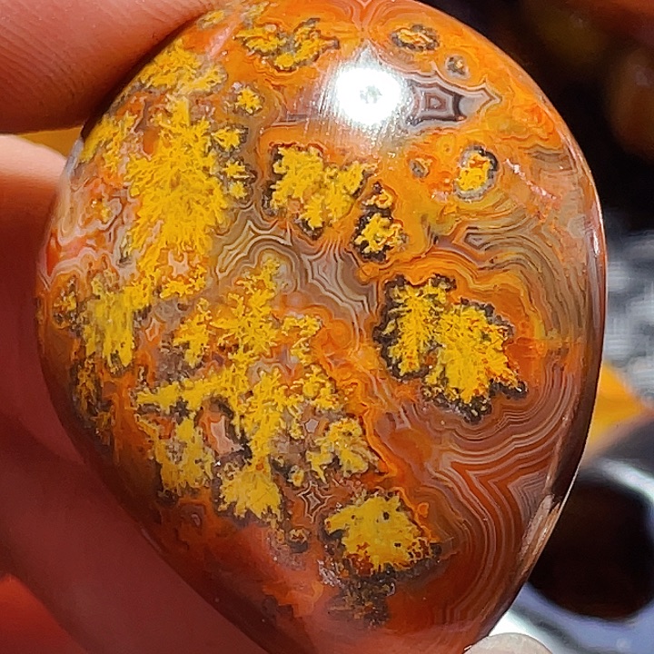 玛瑙/玉髓玛瑙未镶嵌杨*