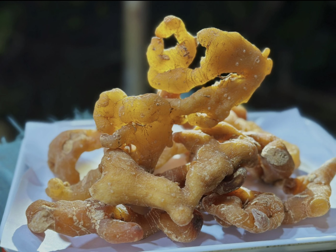 （现収山货 ）太-阳-参 100-500克