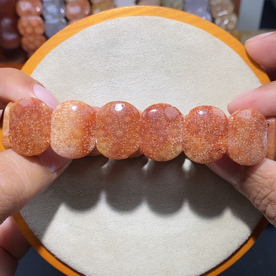 硅化珊瑚（珊瑚玉）手串未镶嵌骨骼冰雏菊32