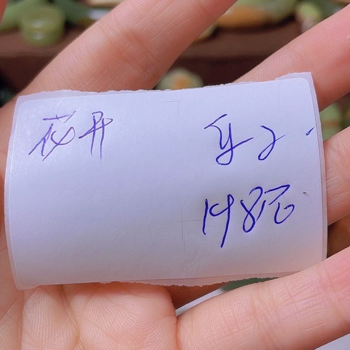 未镶嵌岫岩河磨玉（透闪石质玉）挂件花***时