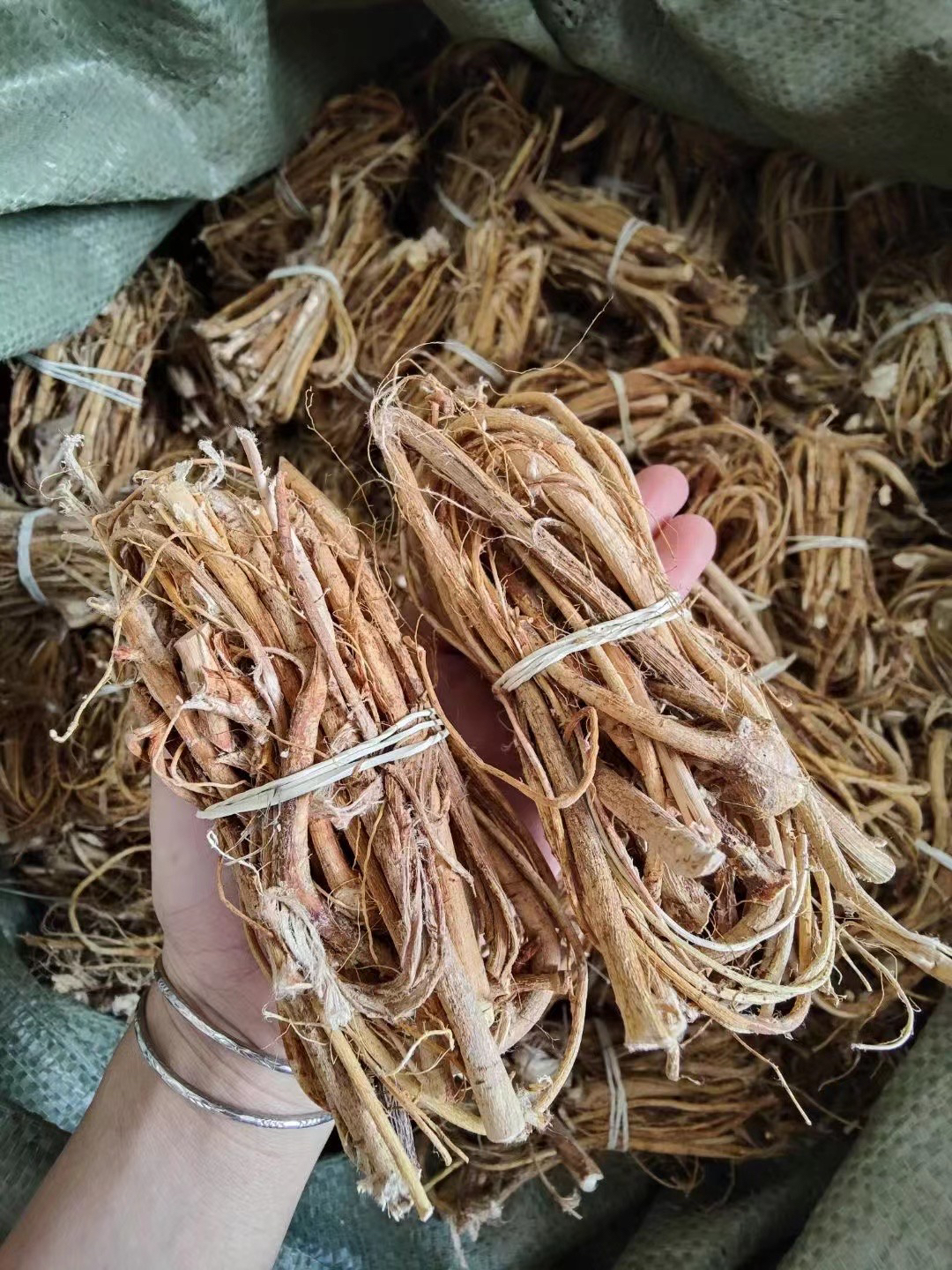 【康德】七爪毛桃 春天煲汤