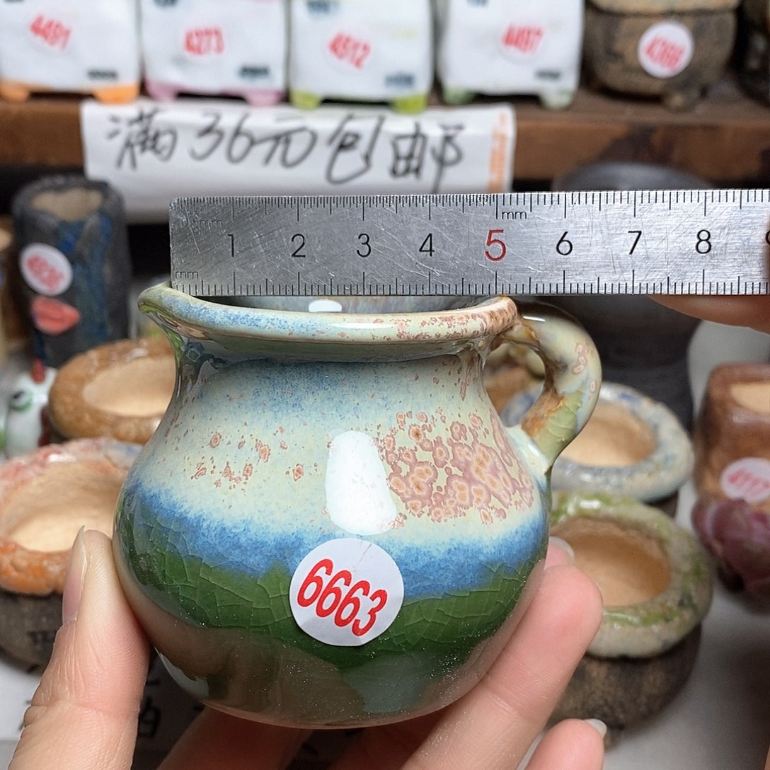 红陶拍5送一个小