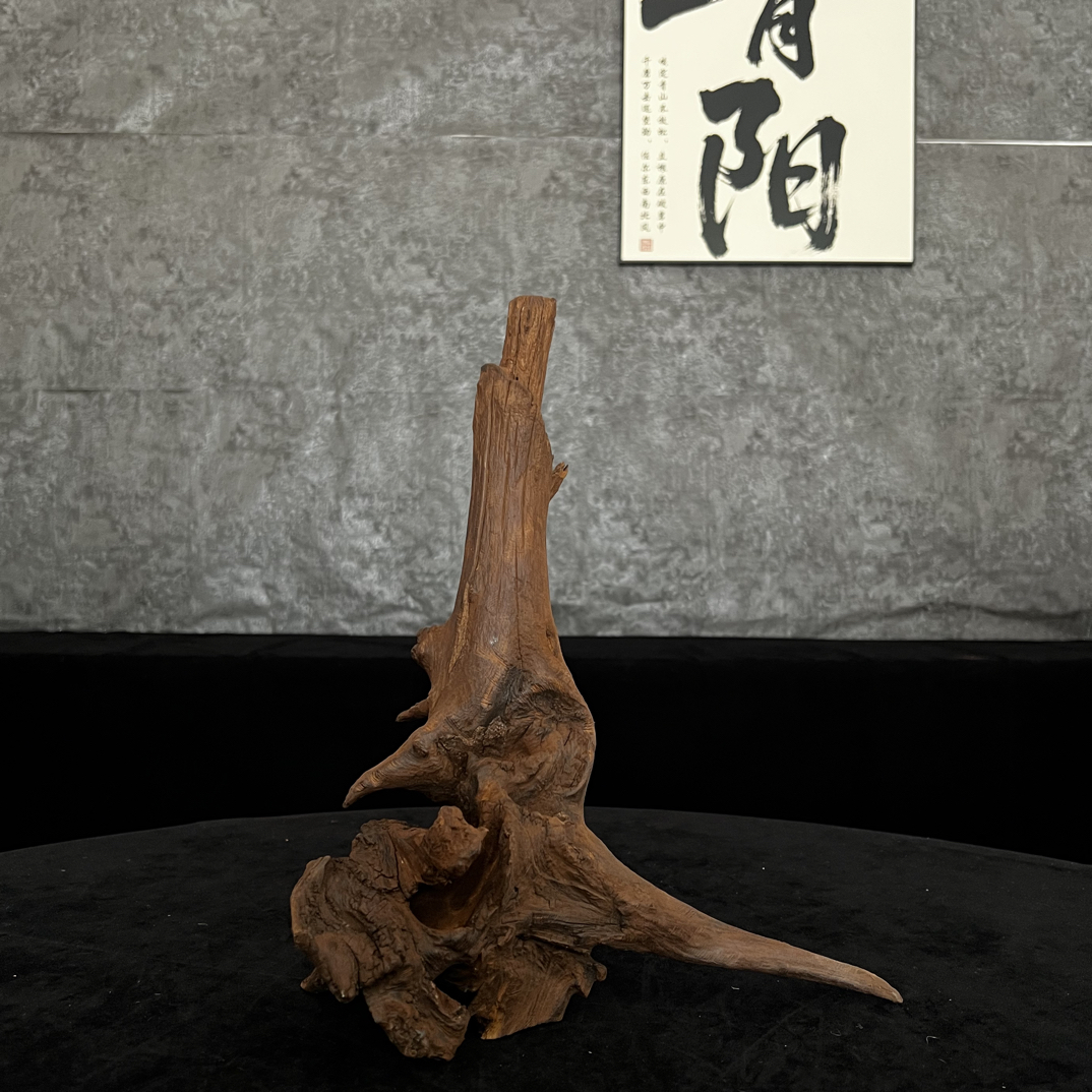 【青阳沉木】云南紫柚木鱼缸造景沉木树桩拱桥飘枝沉木—29.14.36