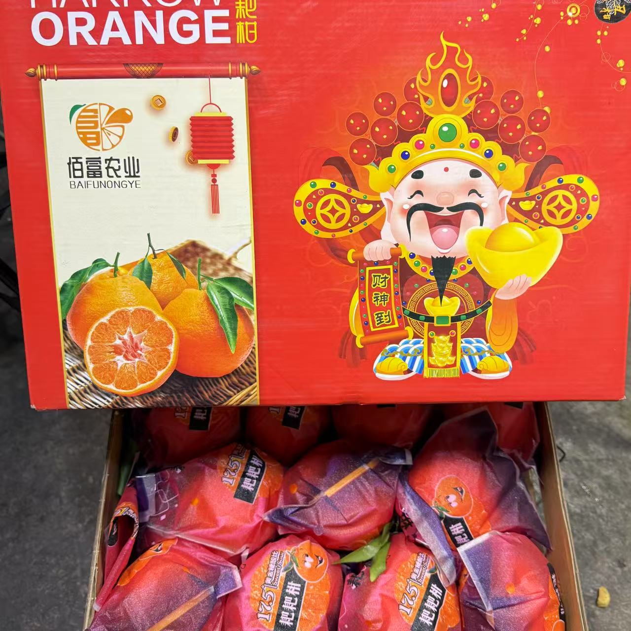 财神爷耙耙柑整箱装毛重14