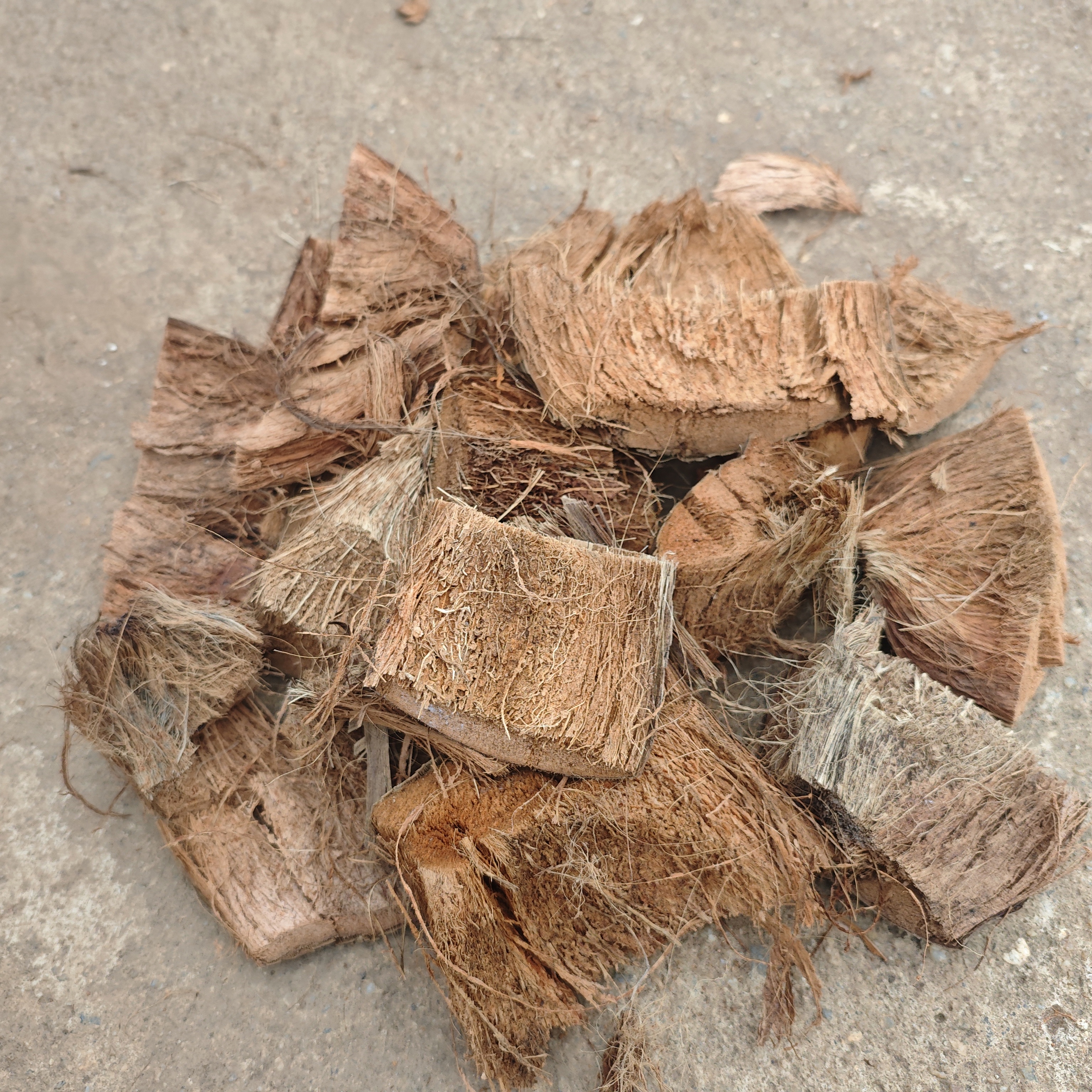 【椰壳】兰花植料 透水透气兼顾 利于根系牢固更发达