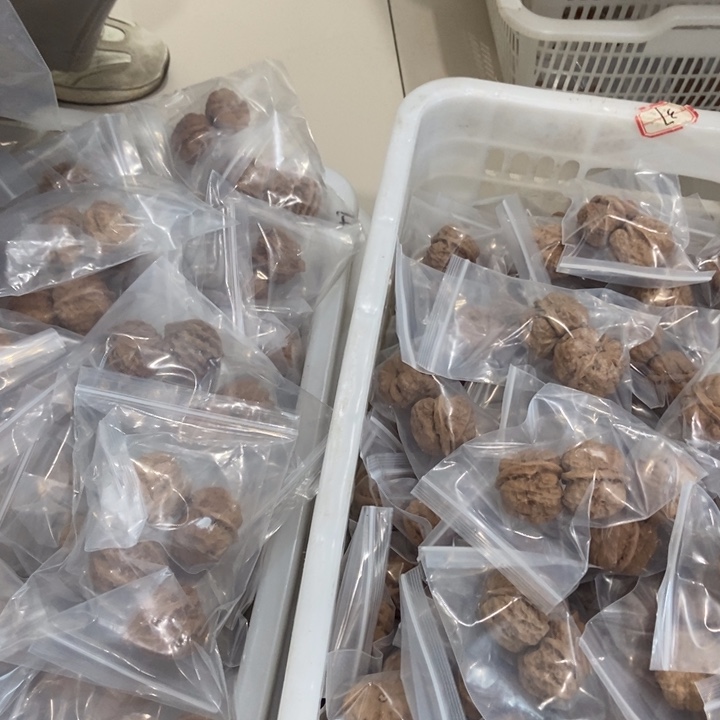 吊坠文玩核桃龙蛙瑕疵