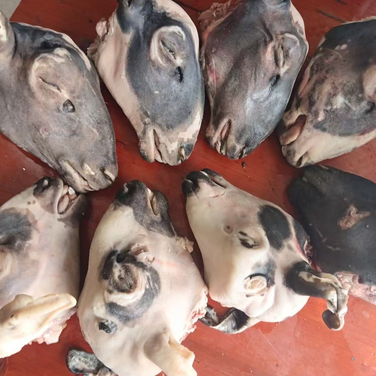 共11斤生羊头新鲜带皮羊头带舌头麻辣羊头冷冻发货