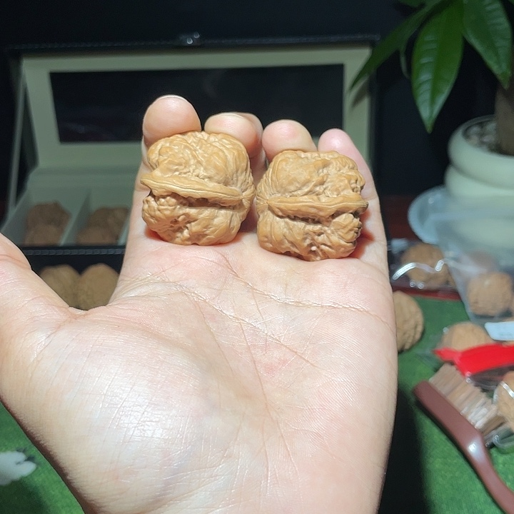 文玩核桃把件35蛤蟆头一根筋