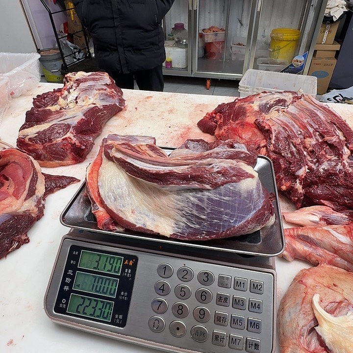 神***号9个月中国大陆马肋条