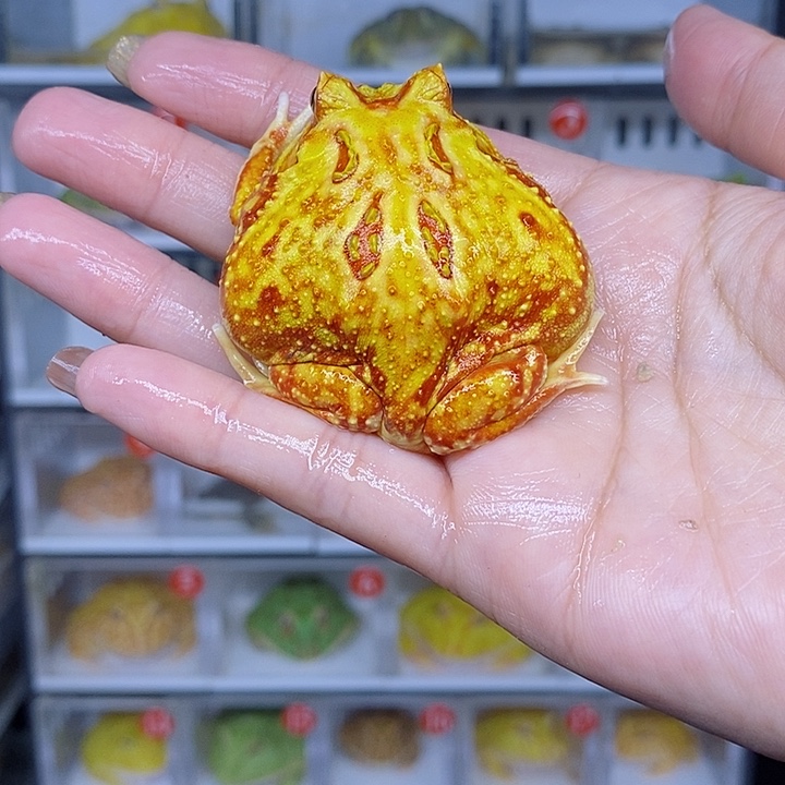 特价秒杀现货特价