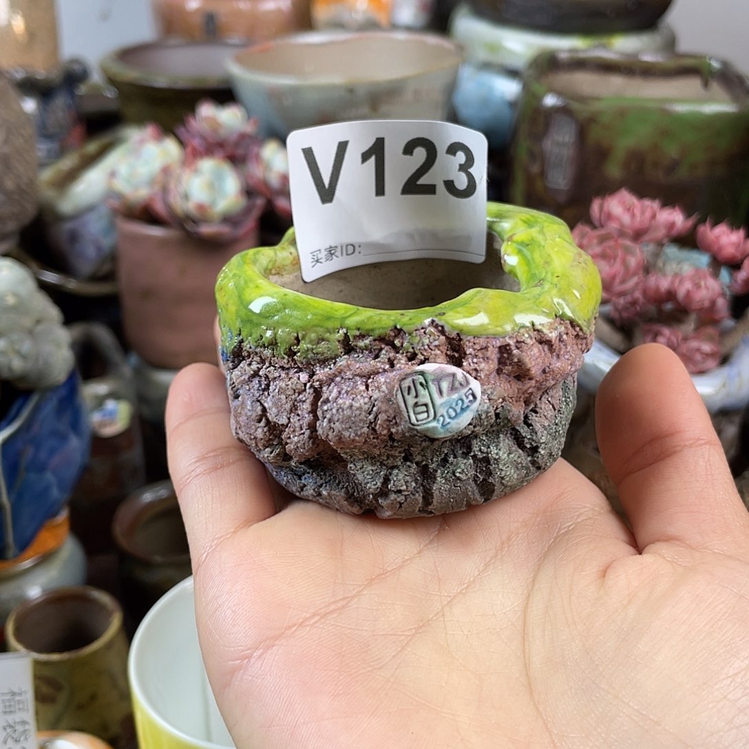 默认微次 跨年福利 坛子姐花盆