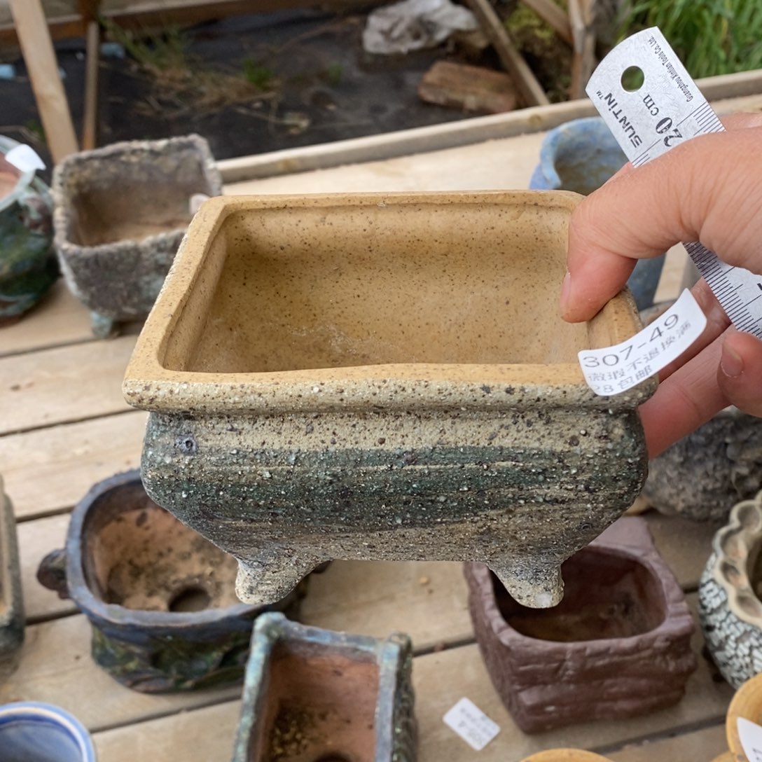 红陶1号多肉盆一个呀