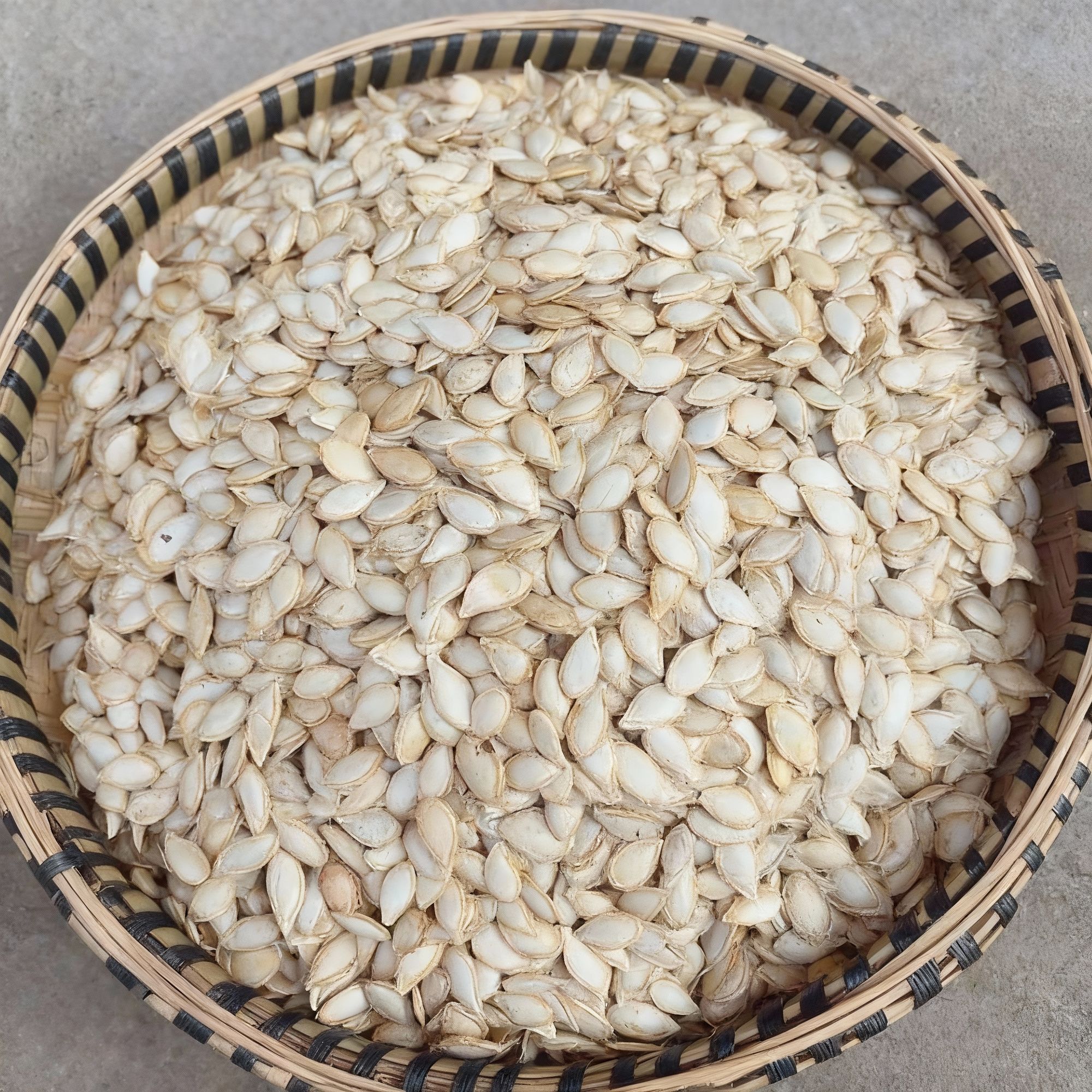 四川农家自种原味带壳毛边自然晒干老品种南瓜子（现场称重）