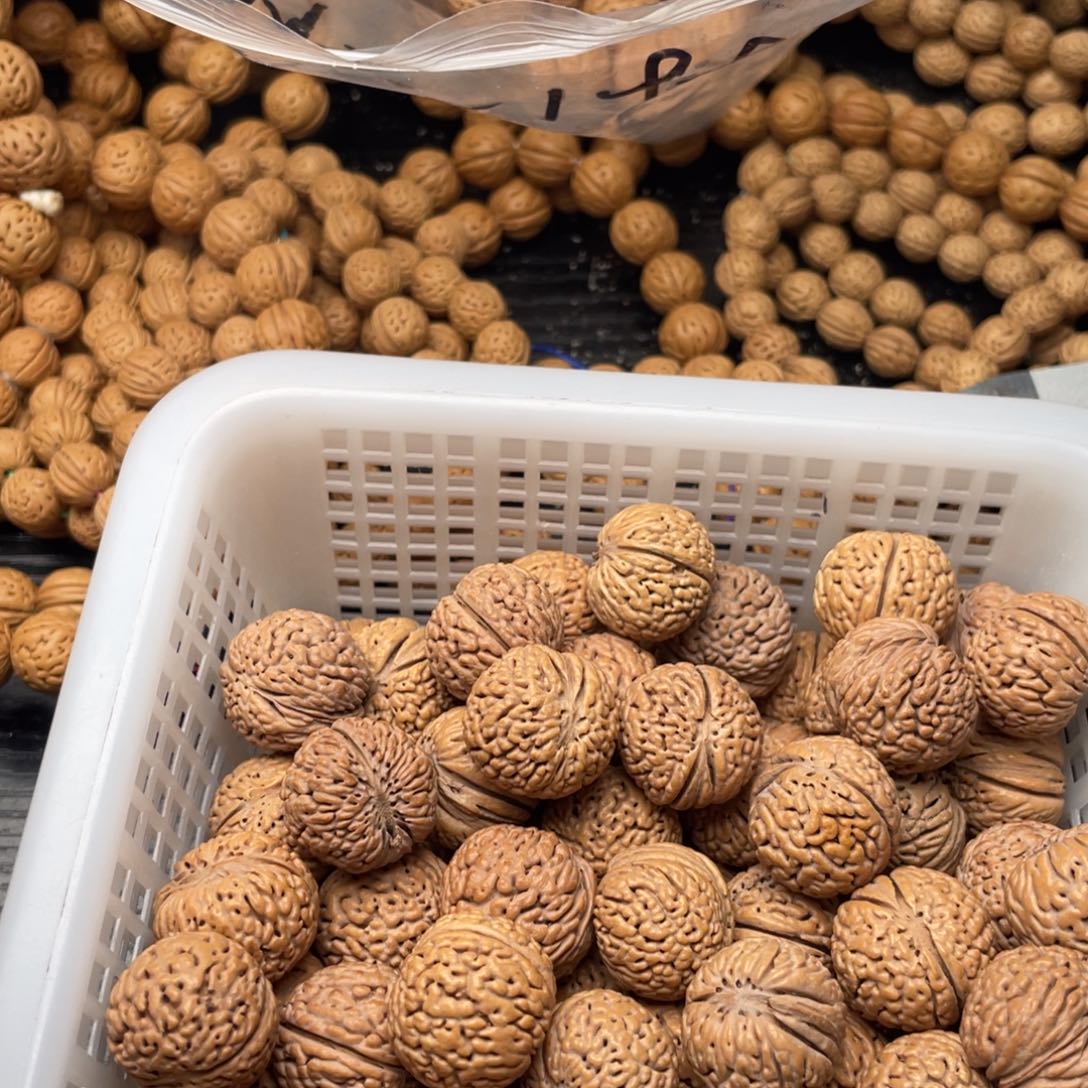 【闪购商品】?****栋散子批发30