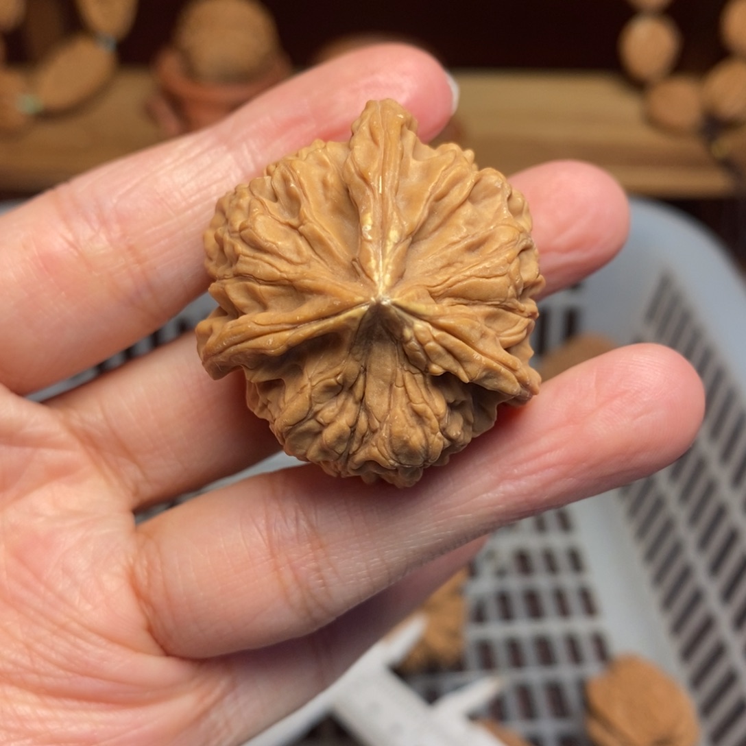 爱***m把件文玩核桃尺寸