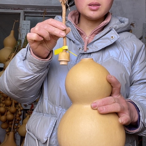 天然植物葫芦文玩