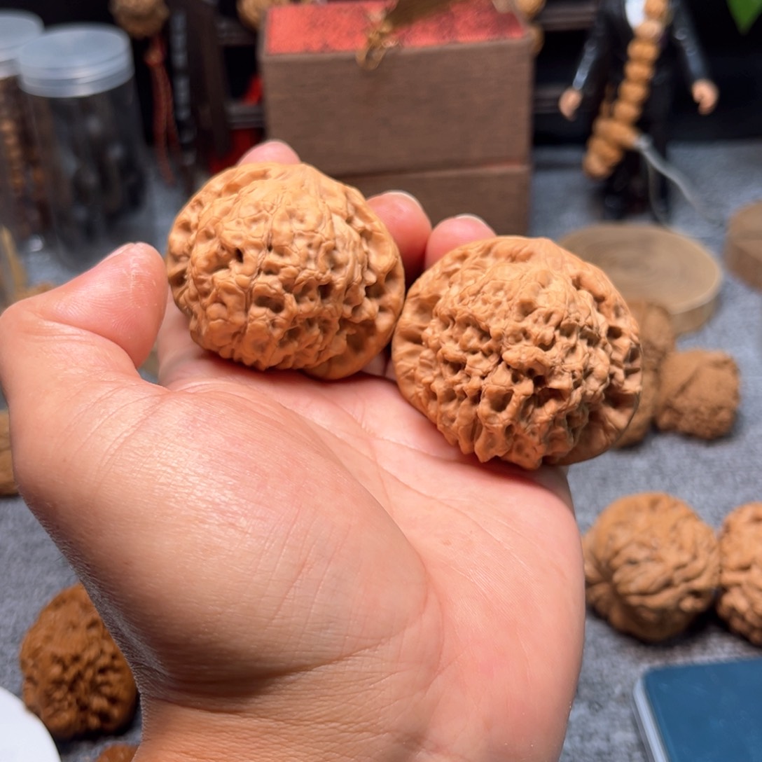 文玩核桃把件天****！龙鼎全品