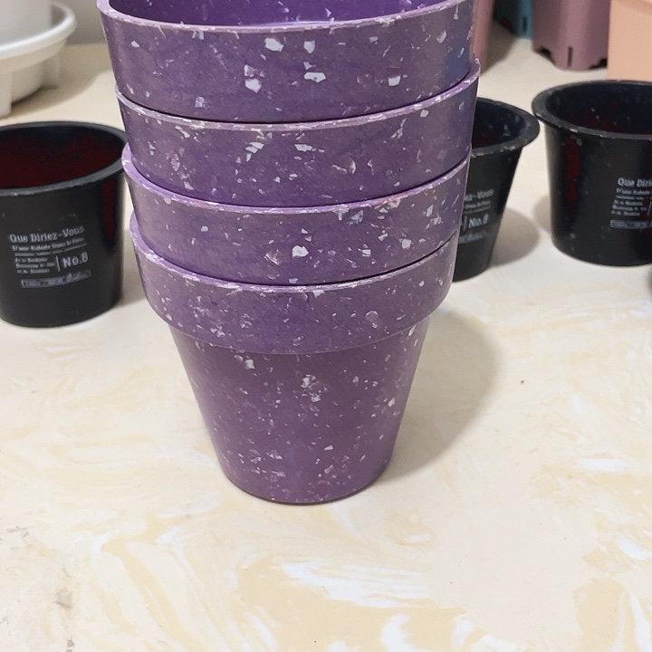 多肉紫色孤品4个无拖