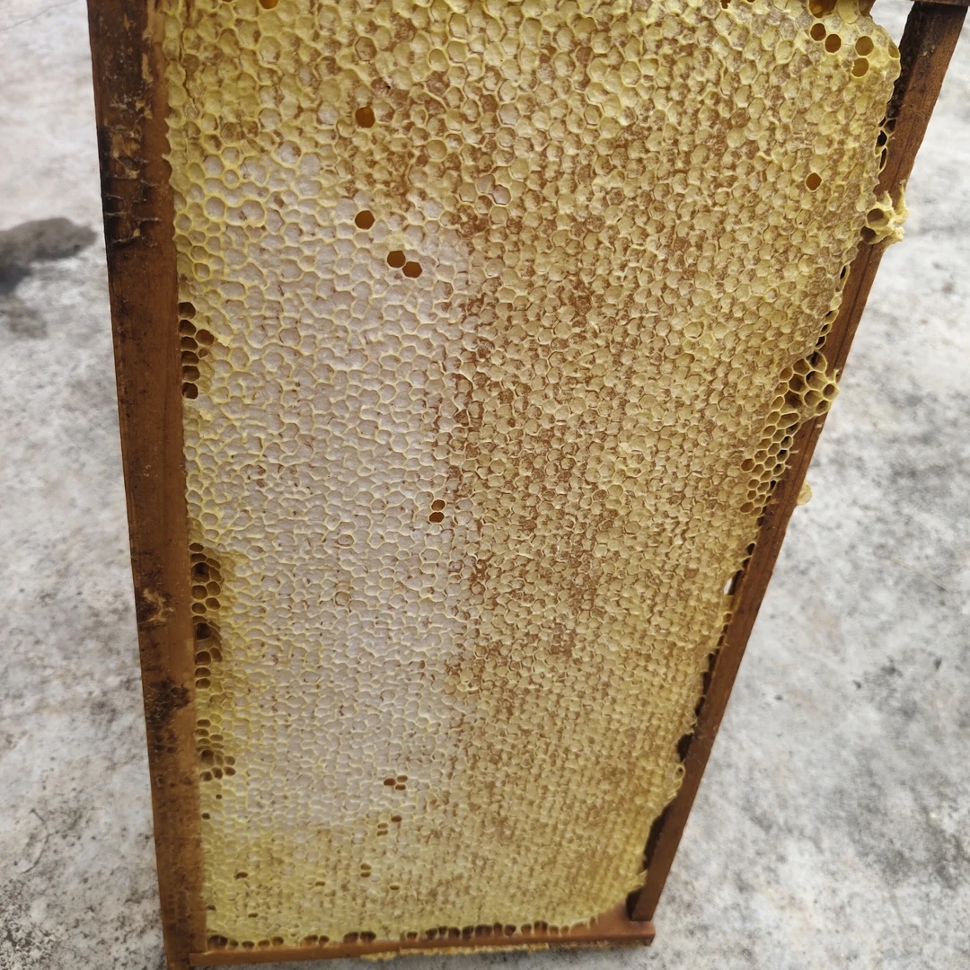 整张蜂巢蜜脾6斤半左右包邮包活