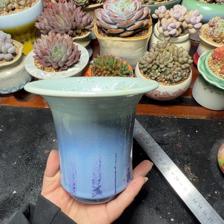 特价花盆 满50发货 内口11.5