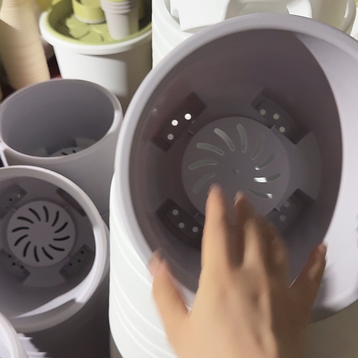 球根盆3号灰白无托6个