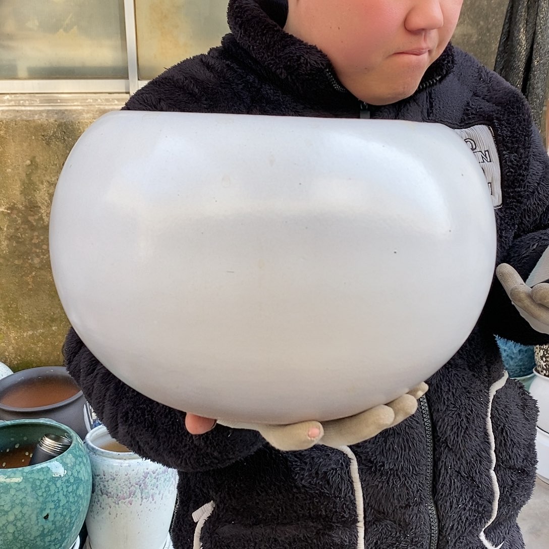 紫砂花盆口22高22福利