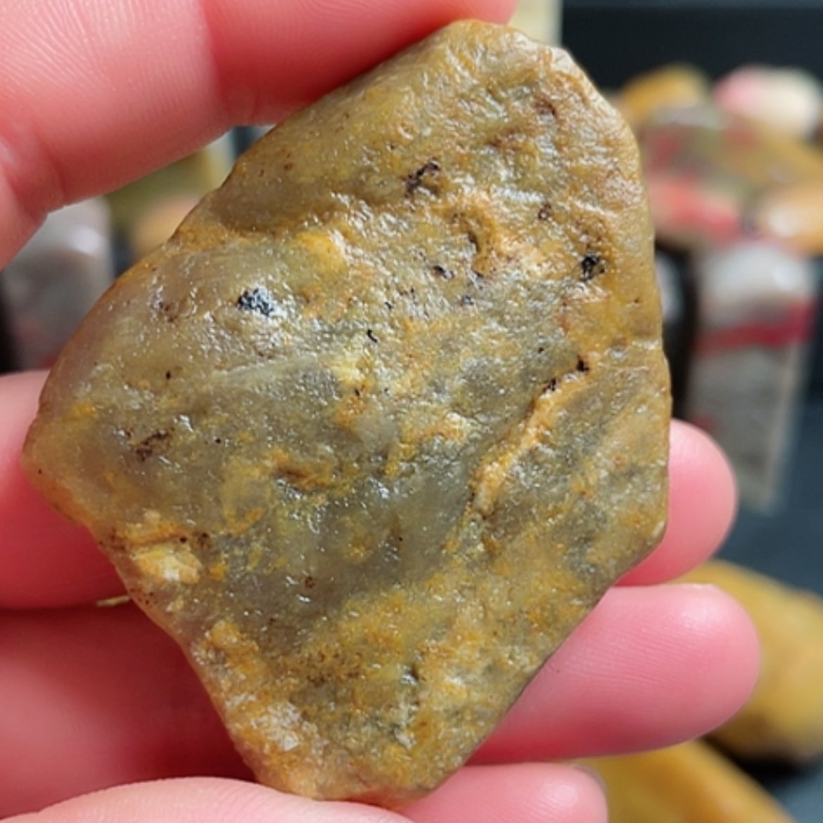 【闪购商品】昌化石昌化田黄原石