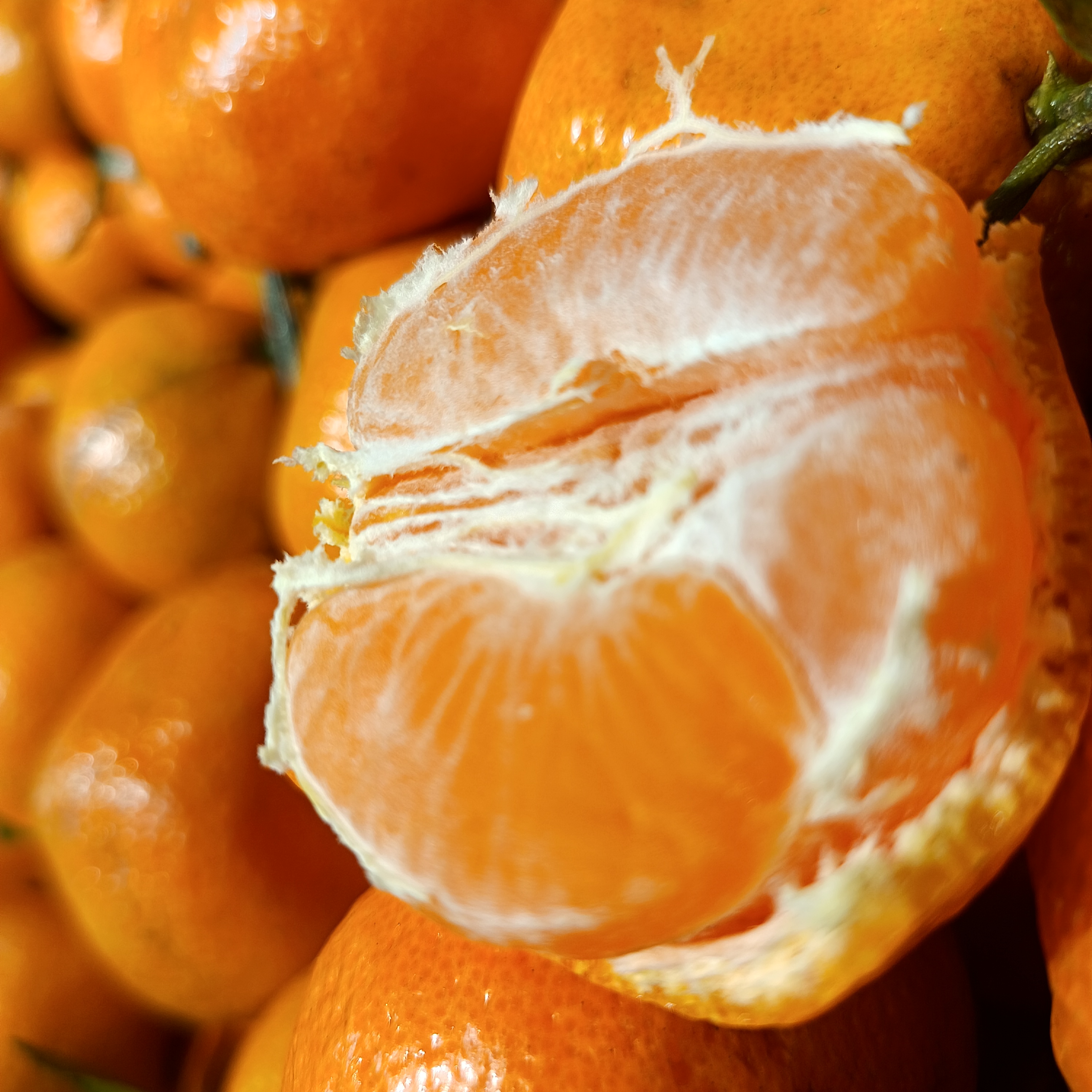 云南省无籽蜜橘桔子云南省